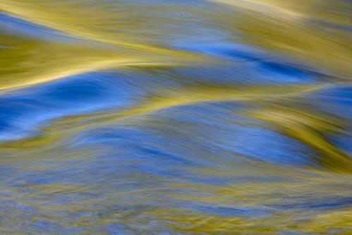 Textures;Shapes;Patterns;Abstractions;Abstract;Reflections;Reflection;Plant;Trunk;Bark;Leafy;Branches;Branch;Woodland;Herbaceous;Shrub;Bush;Trees;Tree;Trunk;Brook;Creek;Rivulet;Streamlet;Stream;Rivers;River;Riverbed;Water;Flowing;waterway;stream;creek;brook;Gold;Yellow;Blue